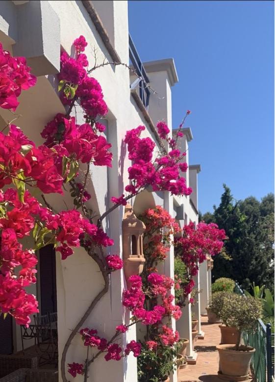 Boutique Hotel Maravilla - Marbella ベナアビス エクステリア 写真