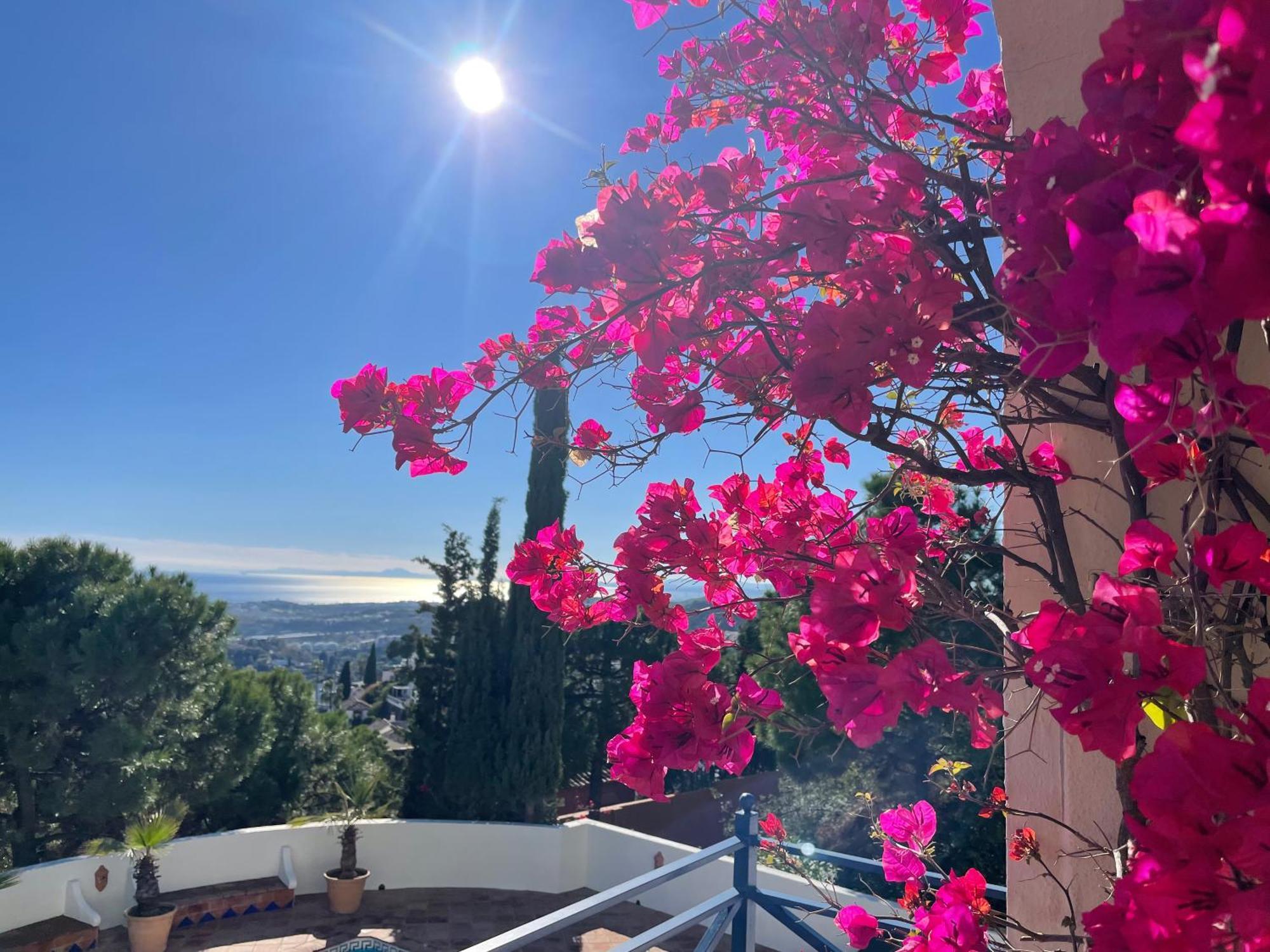 Boutique Hotel Maravilla - Marbella ベナアビス エクステリア 写真