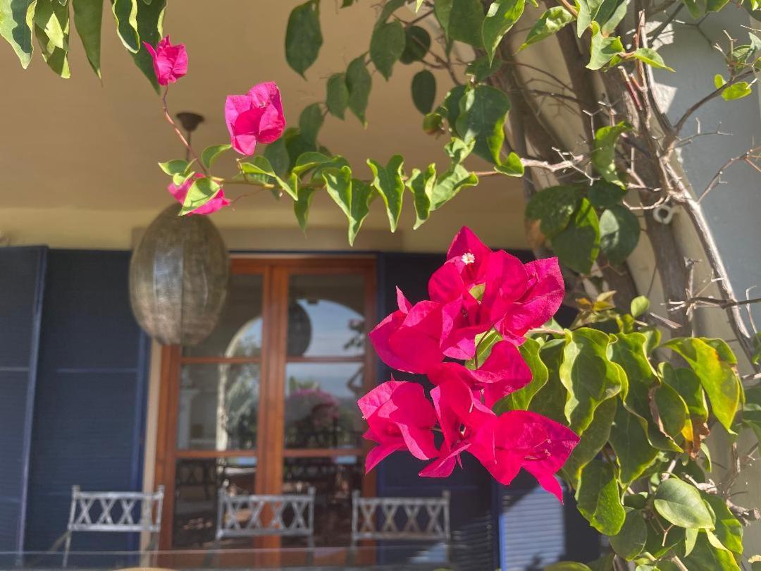Boutique Hotel Maravilla - Marbella ベナアビス エクステリア 写真