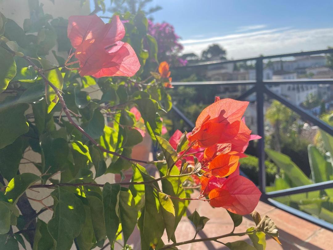 Boutique Hotel Maravilla - Marbella ベナアビス エクステリア 写真
