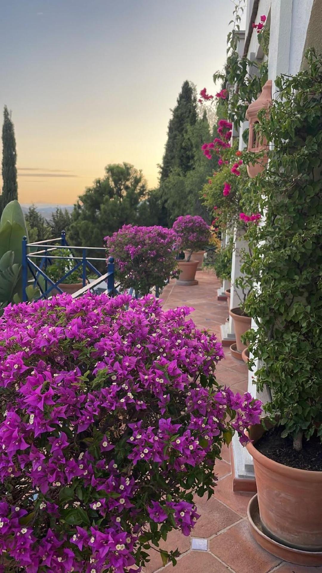 Boutique Hotel Maravilla - Marbella ベナアビス エクステリア 写真